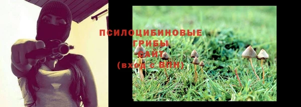 кокс Богданович