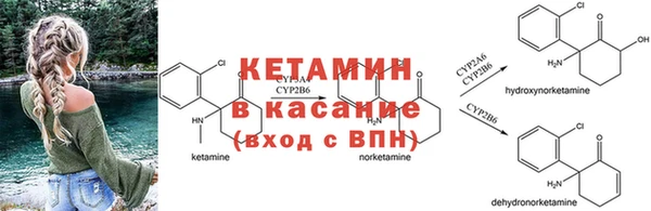 соль курить ск Богородицк