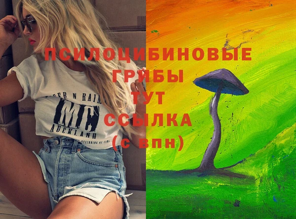 ГАЛЛЮЦИНОГЕННЫЕ ГРИБЫ Богородск