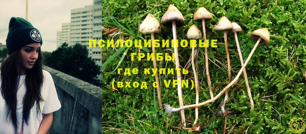 соль курить ск Богородицк